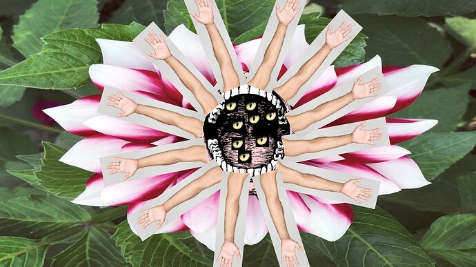 6