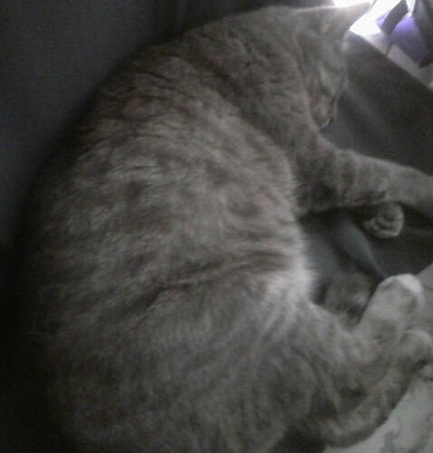 eepy