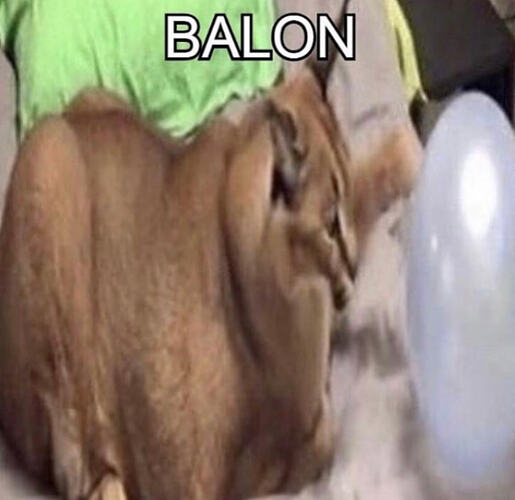balon