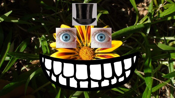 Flower5
