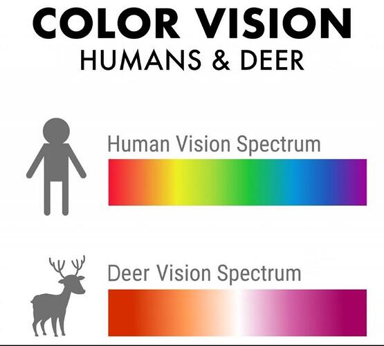 unedited image of the deer vision color spectrum : r/TheMatpatEffect
