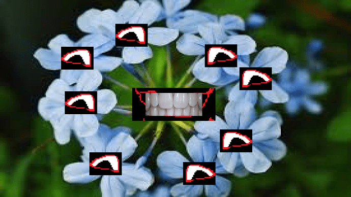 Flower12