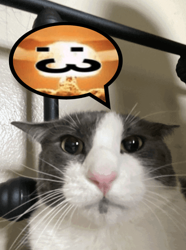 Tumblrl247111426467034.jpg