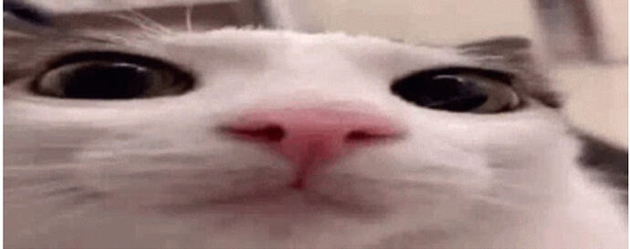 pliNk