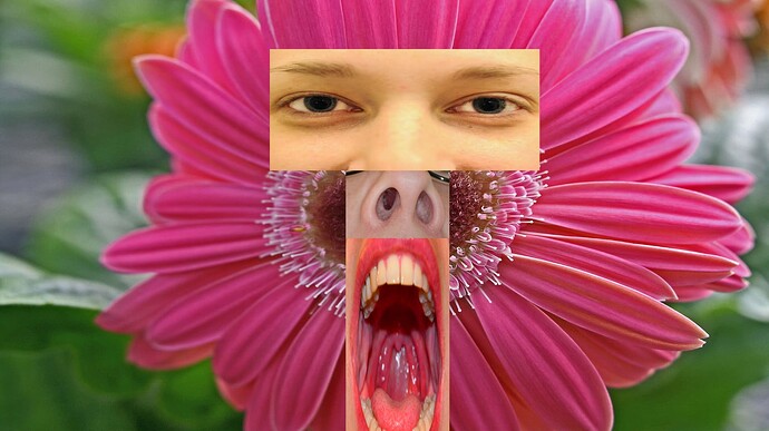 Flower3