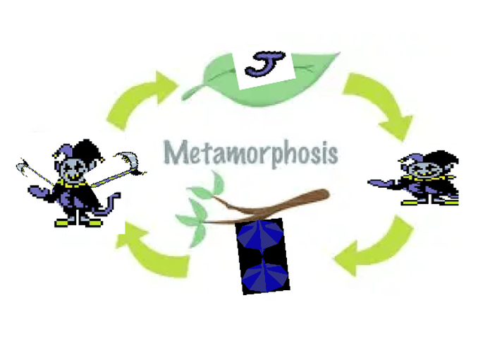 metamorphosis