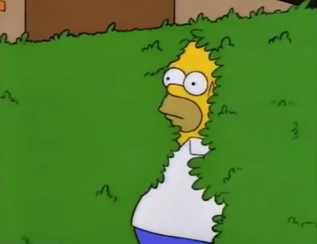 Homer_Bush