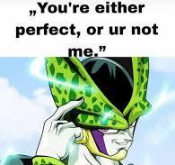 perfection