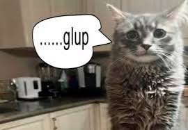 glup