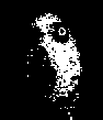 The face that appears while fighting Omega Flowey.