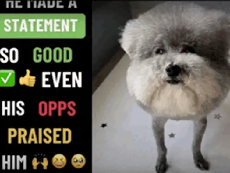 static-assets-upload10832425947617814799