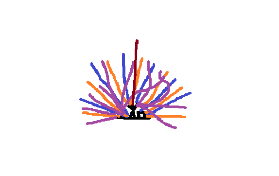 Chaos