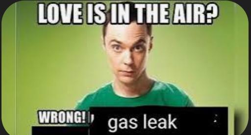 original-love-is-in-the-air-wrong-gas-leak-v0-q5zdew8in88f1