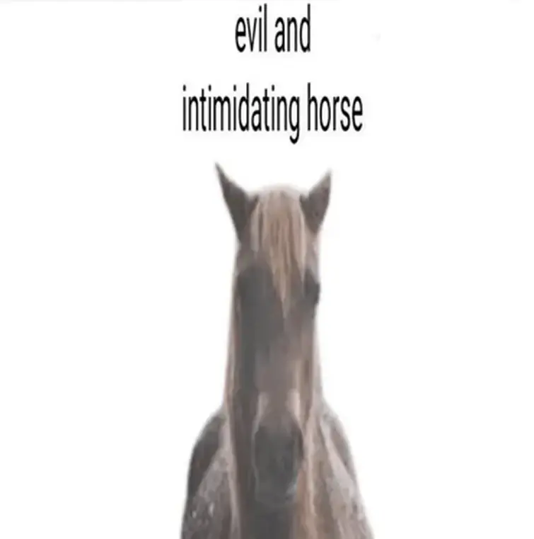 1000001337