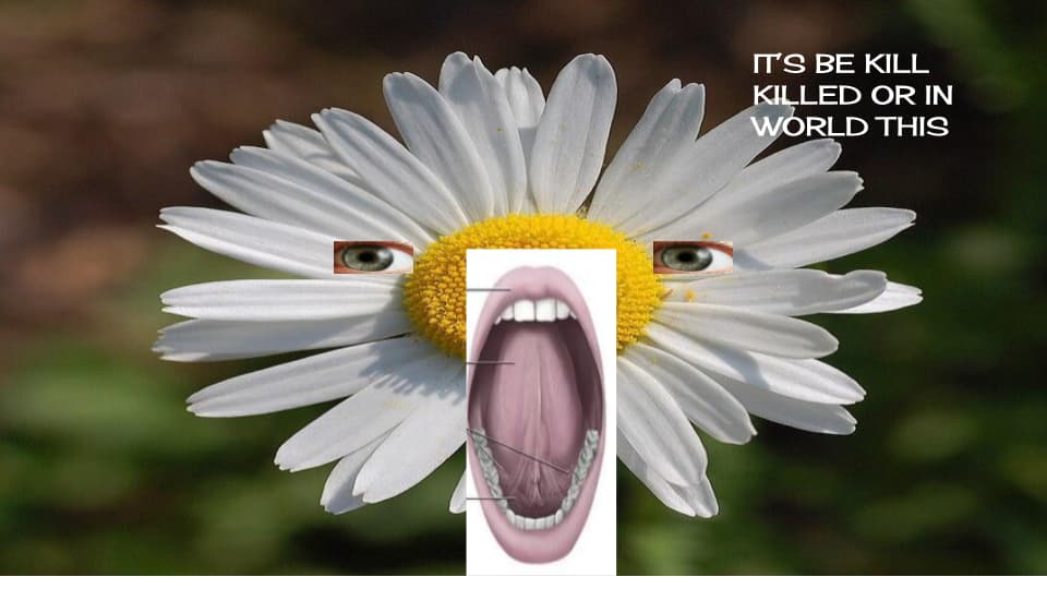 Flower1