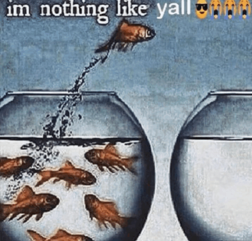 I'M Nothing Like Yall Meme - I'm nothing like yall - Discover & Share GIFs