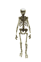 Gmod skeleton does dancies