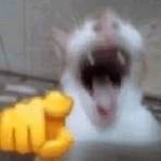 LOSER AHAHAHA L L L L L L BOI BOI BOI BOI BOI AHAHAHAHAAHAHHAAHA LOSER IM DANCING ON YOUR GRAVE POINTING AND LAUGHING AHAHAHAHAHAA