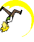 Faceless Flowery crescent kick non gif ver