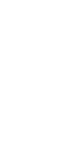 Seal_11