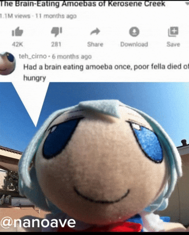 Touhou Project Trending GIF