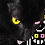 MidKnight